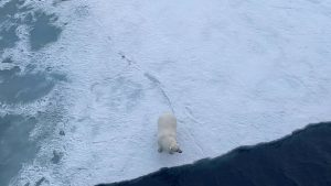 Ульяна Смоленова