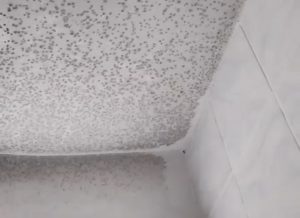 Студенты НГАТУ пожаловались на антисанитарные условия в общежитии