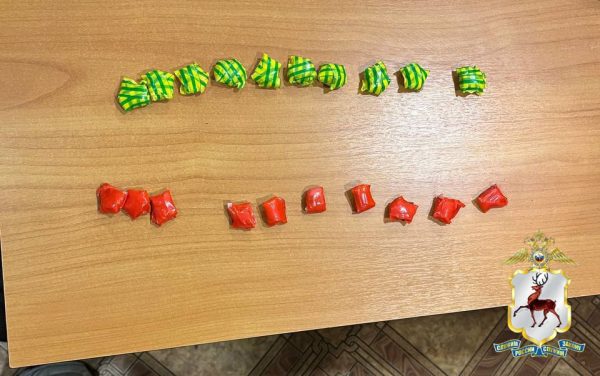 20 свертков с наркотиками нашли полицейские у нижегородца