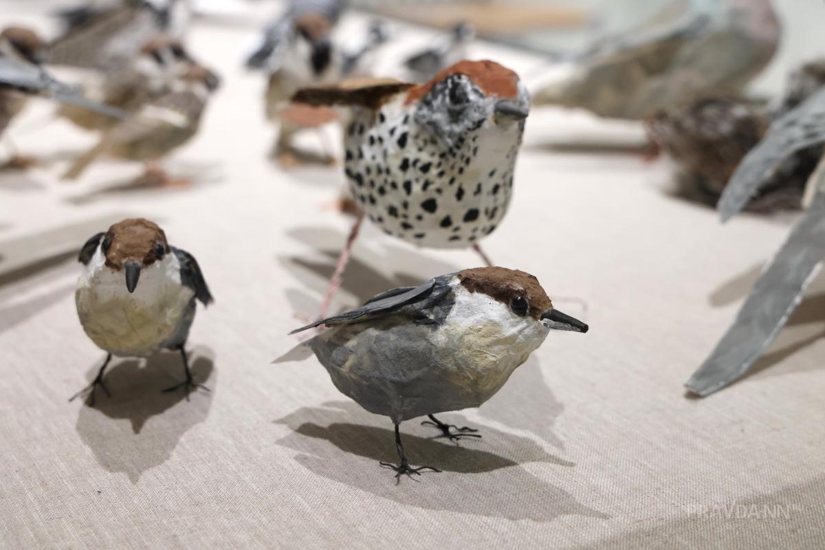 Выставка «Пределы восприятия – SOSтояние»