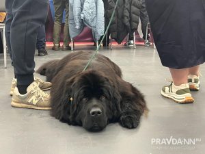 Алина Малинина