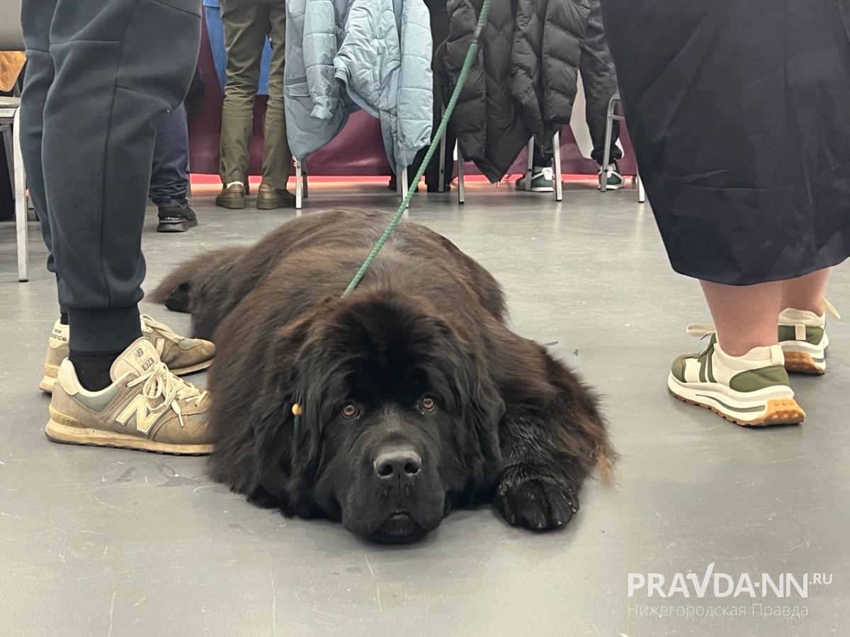 Алина Малинина