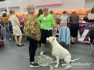 Алина Малинина