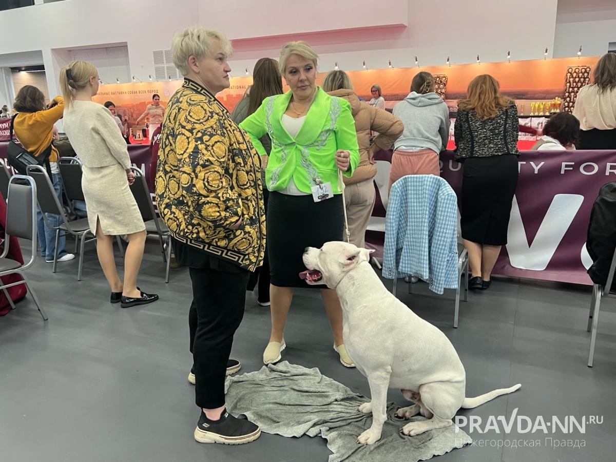 Алина Малинина