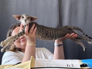 Алина Малинина