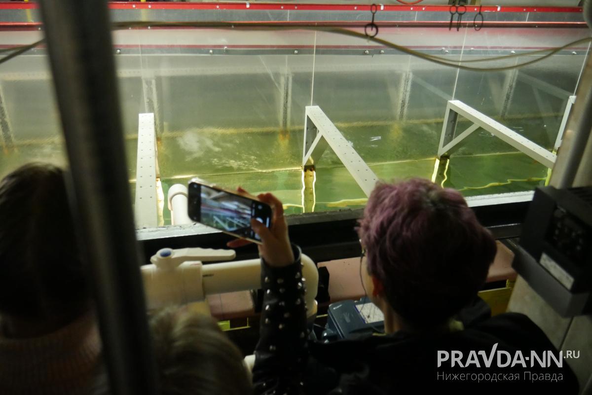 Дмитрий Полевов