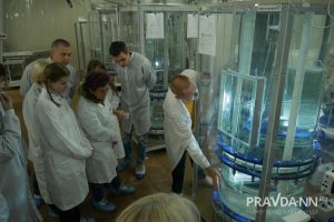 Дмитрий Полевов