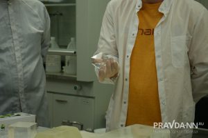 Дмитрий Полевов