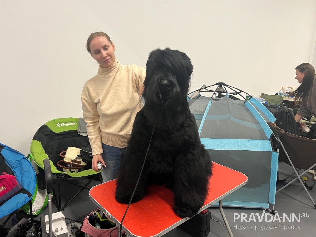 Алина Малинина