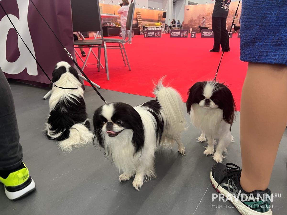 Алина Малинина