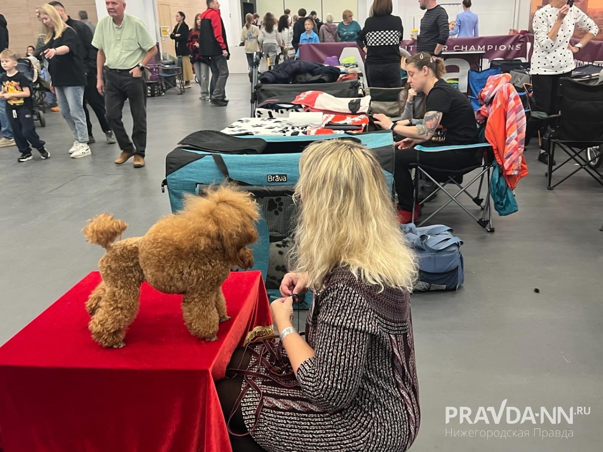 Алина Малинина