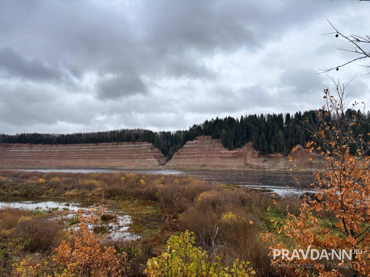 Анастасия Красушкина