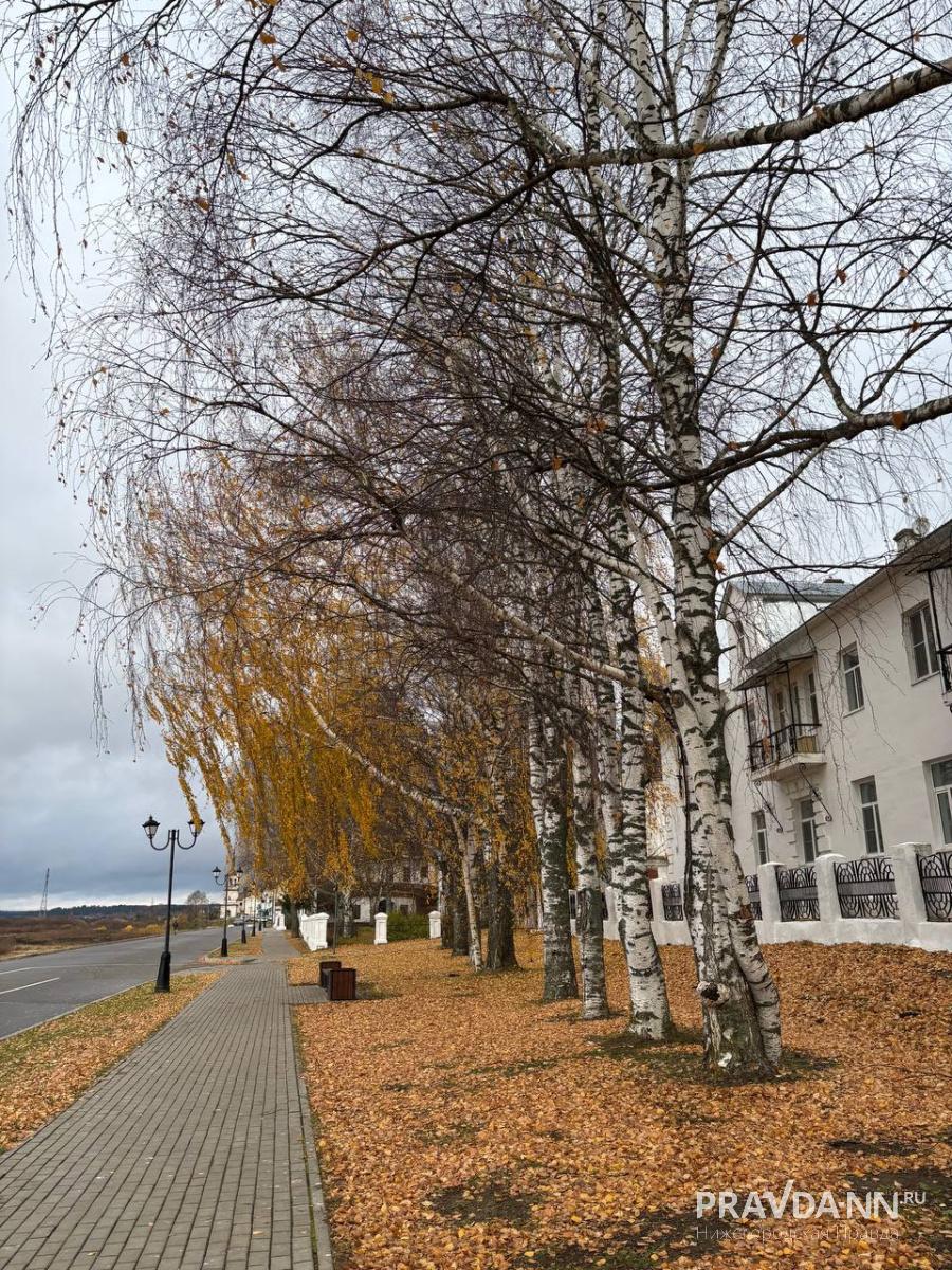 Анастасия Красушкина