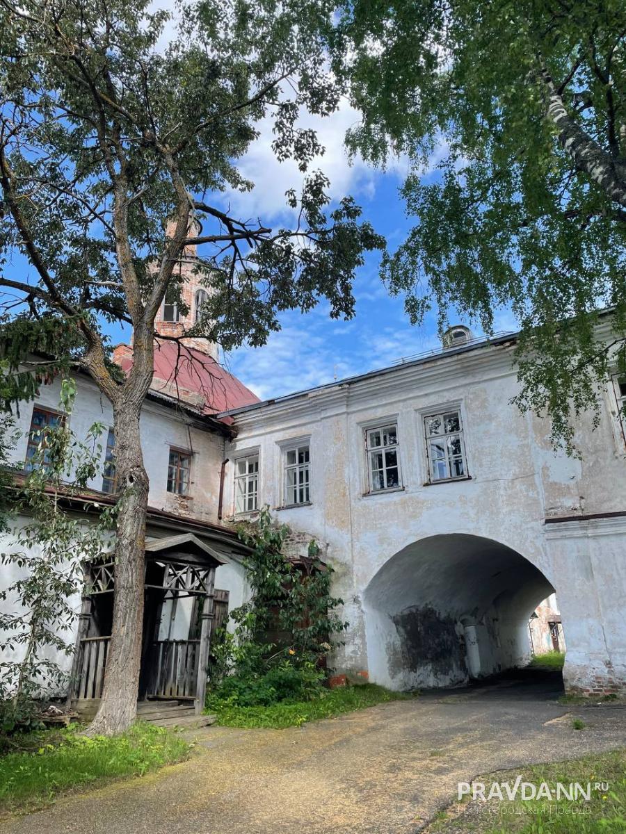 Анастасия Красушкина