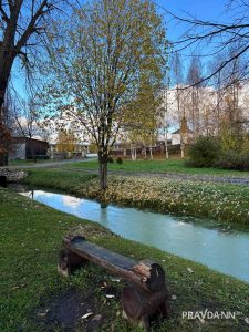 Анастасия Красушкина