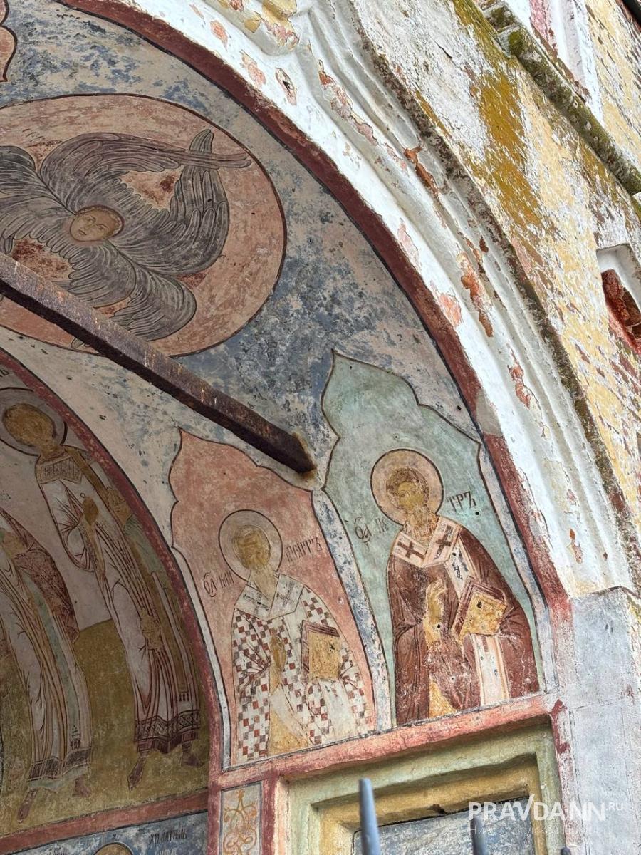 Анастасия Красушкина