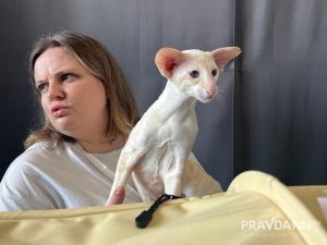 Алина Малинина