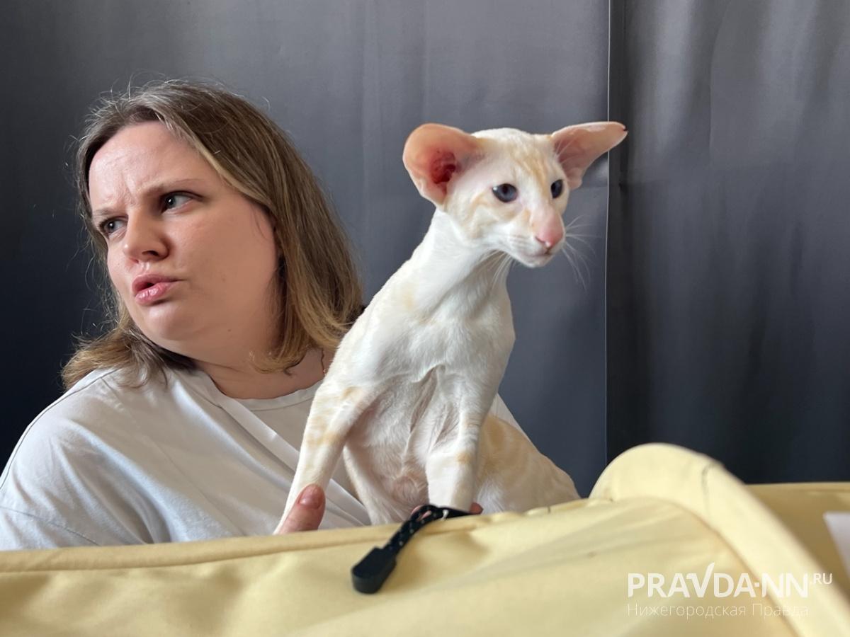 Алина Малинина