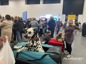 Алина Малинина