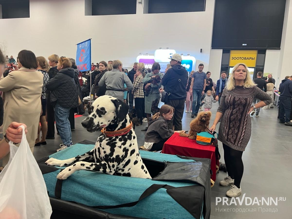 Алина Малинина