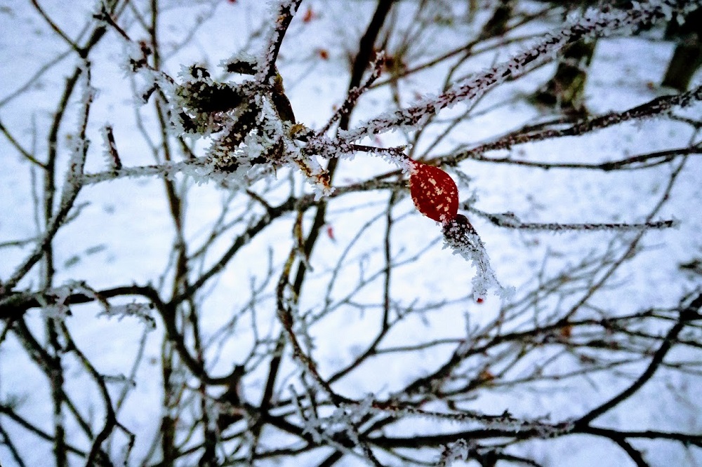 Гидрометцентр прогнозируют, что грядущая зима будет холоднее прошлогодней