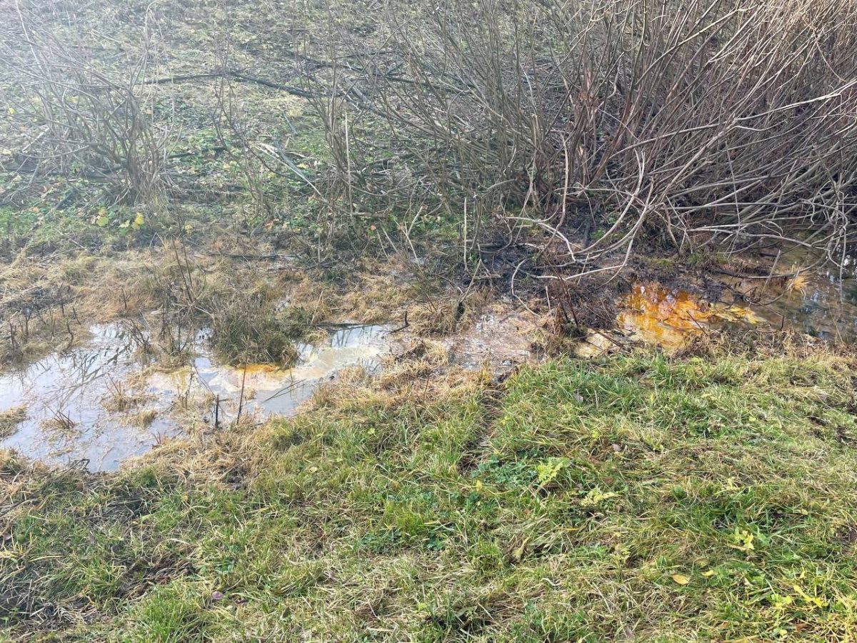 Росприроднадзор начал проверку из-за разлива нефтепродуктов в Кстовском районе