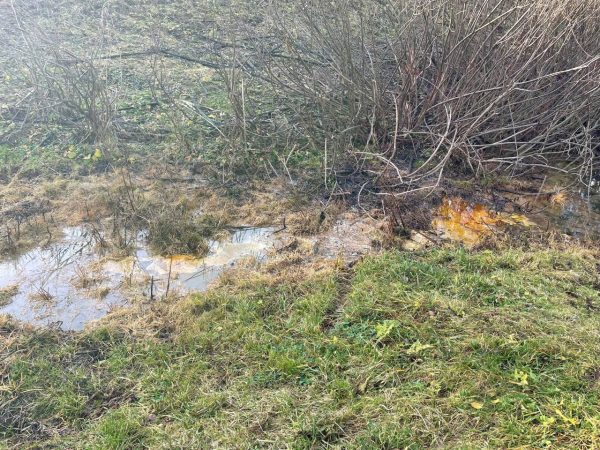 Росприроднадзор начал проверку из-за разлива нефтепродуктов в Кстовском районе