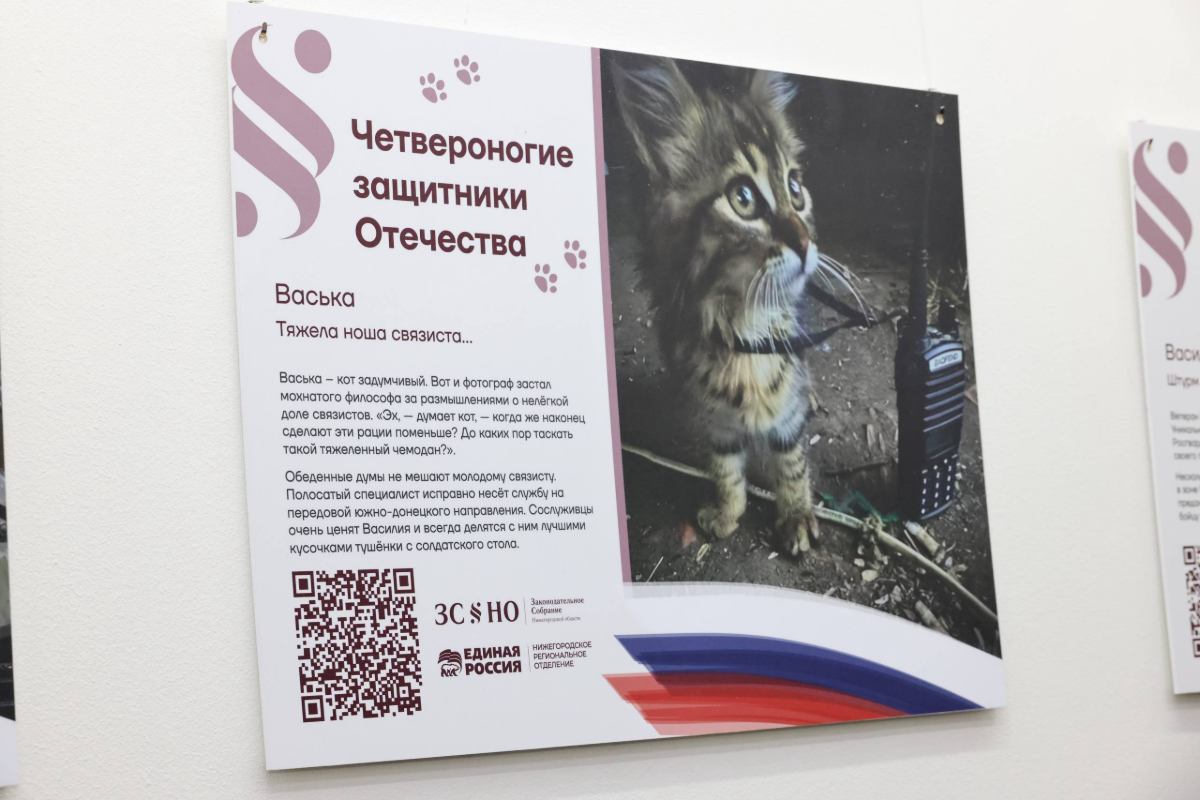 Фото: Пресс-служба Законодательного Собрания Нижегородской области