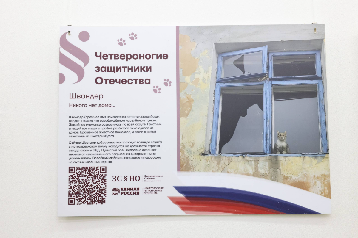 Фото: Пресс-служба Законодательного Собрания Нижегородской области