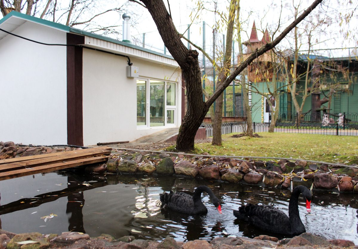 зоопарк "Лимпопо"