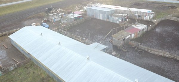 4 объекта животноводства проверили при помощи дронов в Нижегородской области