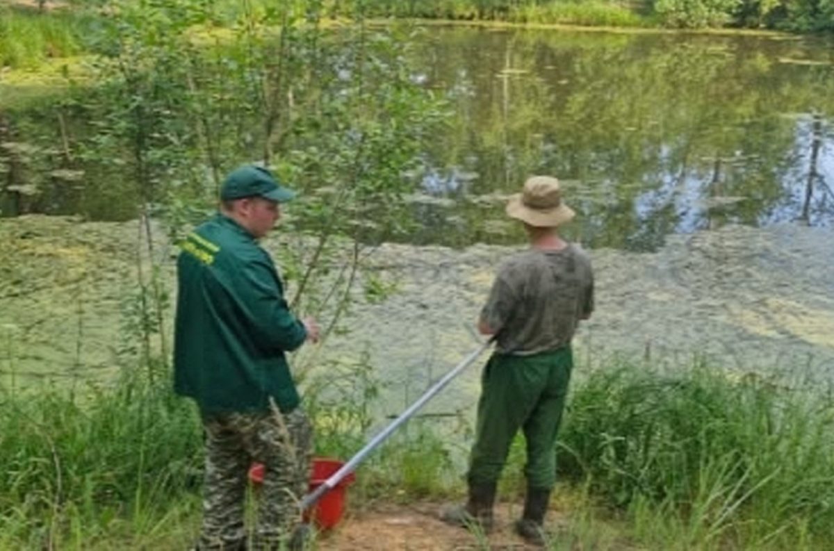 Бурнаковская низина - постоянно в зоне внимания экологов