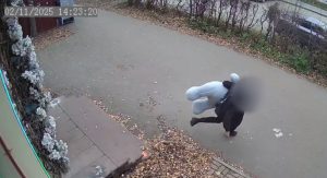 25-летний нижегородец похитил плюшевого медведя и продал его незнакомцу