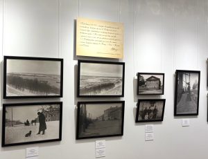 В Русском музее фотографии открыли выставку к 175-летию Виллуана