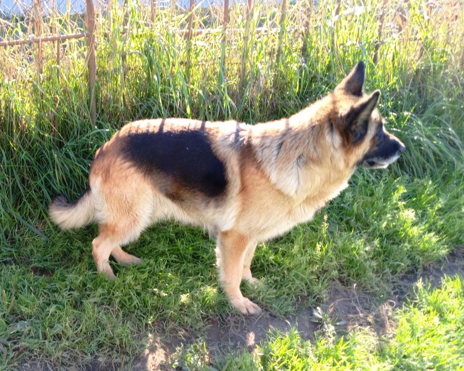 Жандармерия с Глиняной Горки, 8 лет