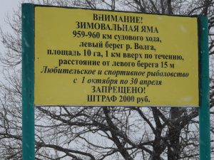 Минлесхоз напоминает о запрете рыбалки на зимовальных ямах