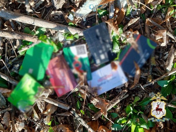 В Нижнем Новгороде задержали карманницу, похитившую более 170 тысяч рублей