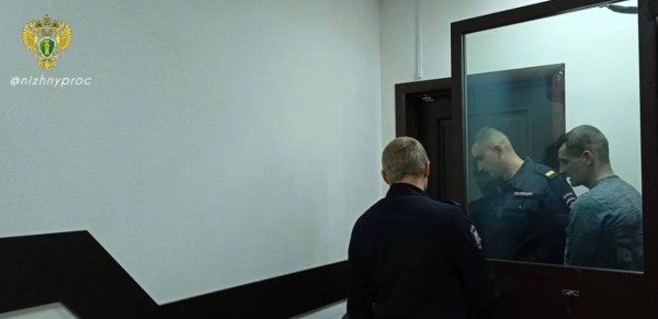 Житель Городца получил 9 лет колонии за убийство знакомой в пьяной драке