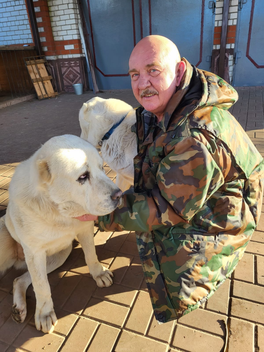 Питомцы всегда с нетерпением ждут возвращения хозяина домой