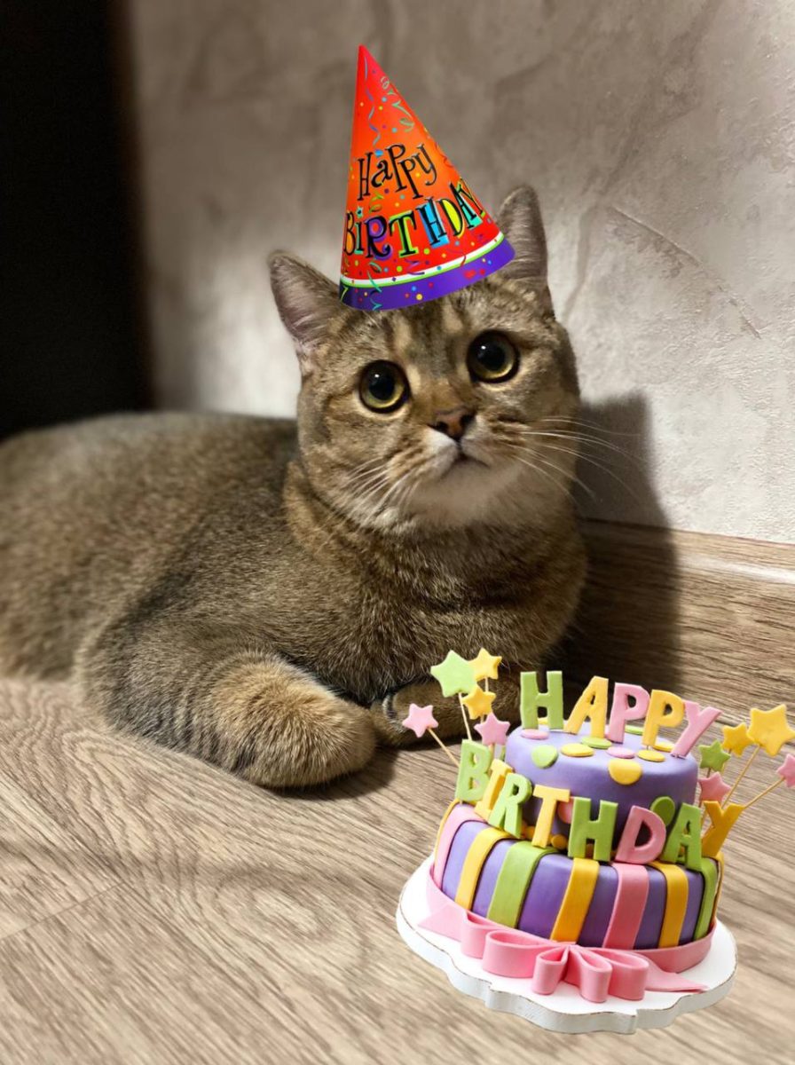 предоставил Игорь Пантюхин