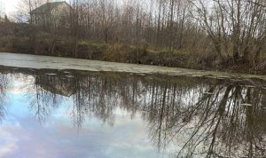 Неизвестные слили нефтепродукты в речку в Кстовском районе