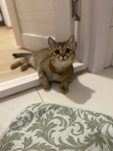 предоставил Игорь Пантюхин