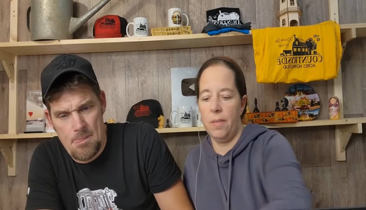 Канадцы пожаловались на неработающий интернет в Нижегородской области