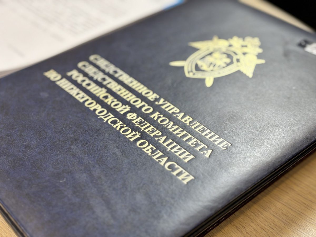 В Сарове бывшего специалиста дорожного предприятия подозревают в мошенничестве