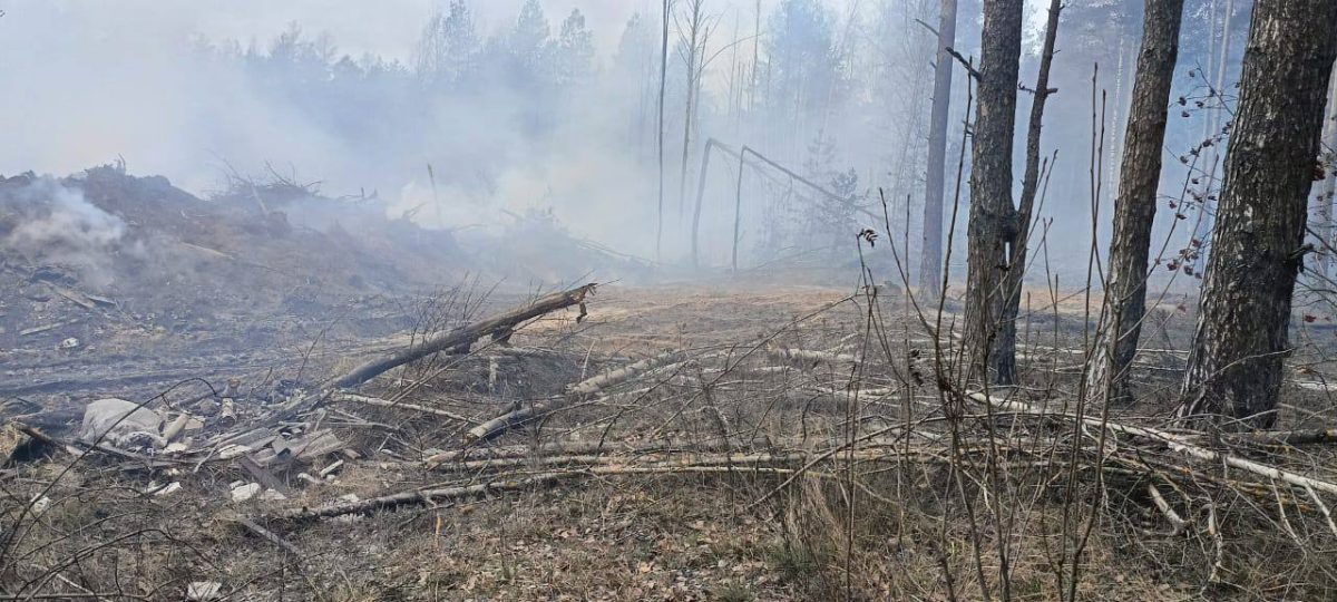 Нелегальная свалка горела на пересечении улицы Федосеенко и Московского шоссе