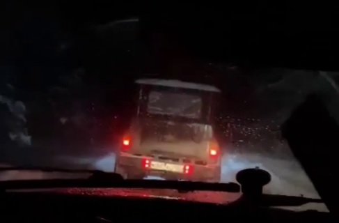 Нижегородца будут судить за убийство беременной лосихи и лося