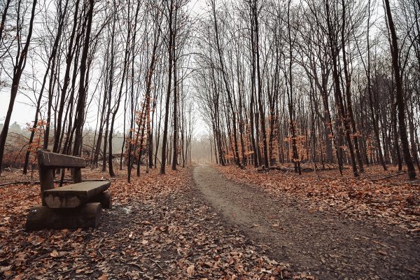 Приметы на 1 декабря: что можно и чего нельзя делать в этот день