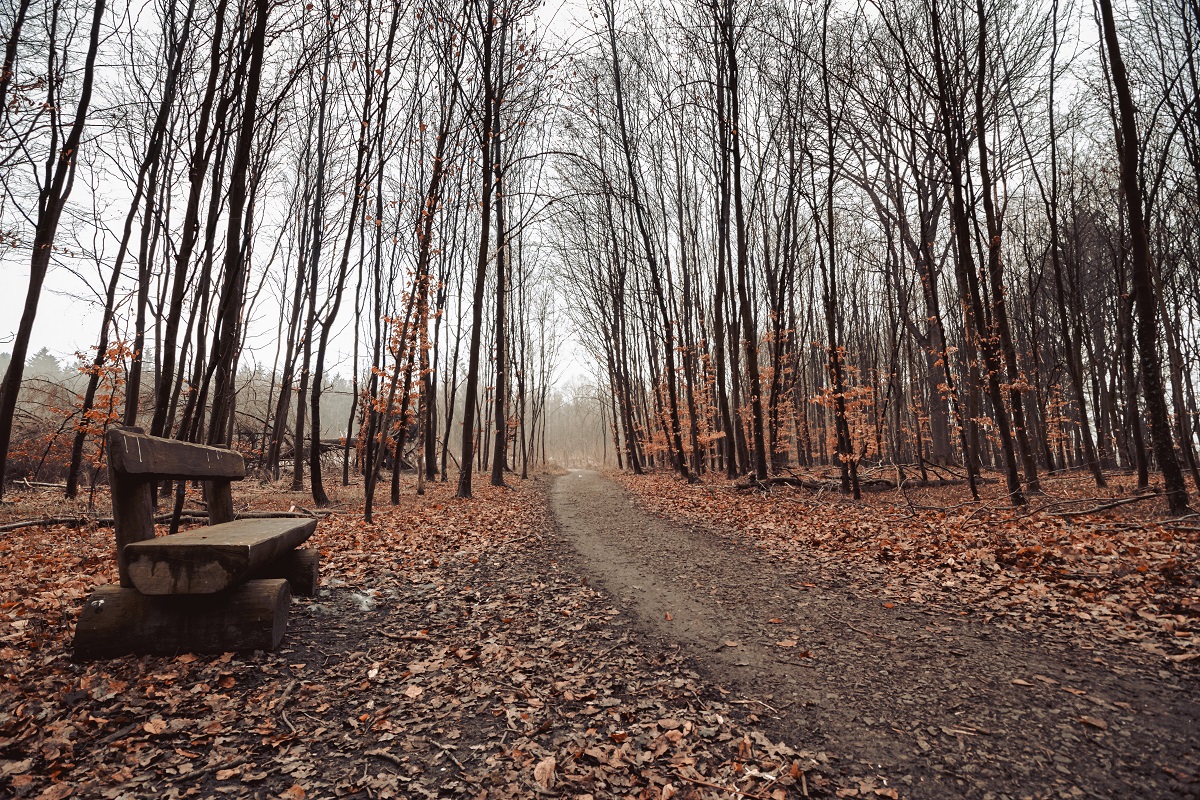 Приметы на 1 декабря: что можно и чего нельзя делать в этот день