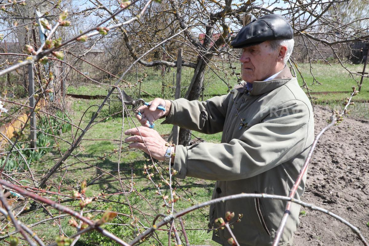 В Росреестре рассказали, как не лишиться своего сада или огорода
