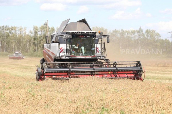 На 34% увеличился урожай зерна в Нижегородской области за год